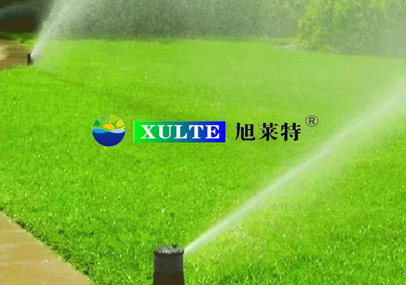 卓越团队