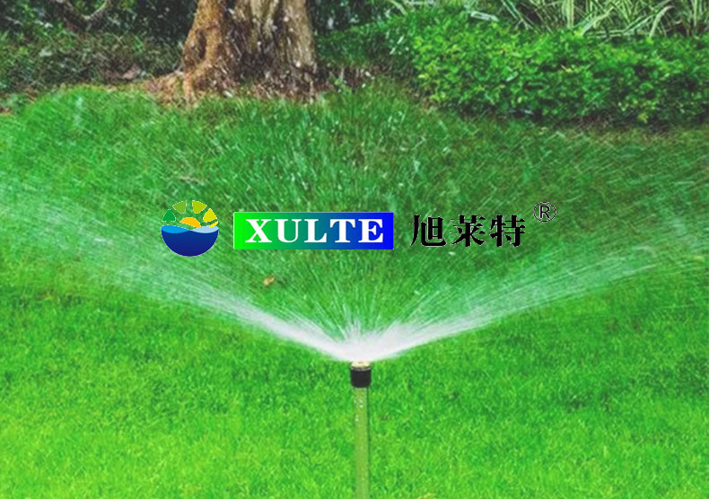 坚持创新